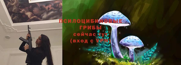 винт Абаза