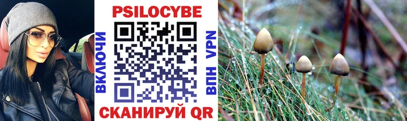 Галлюциногенные грибы Psilocybe купить наркоту гидра Юрга