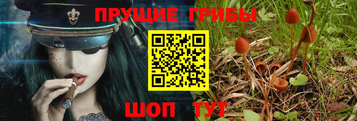 Юрга  Галлюциногенные грибы мицелий  Вход с VPN 
