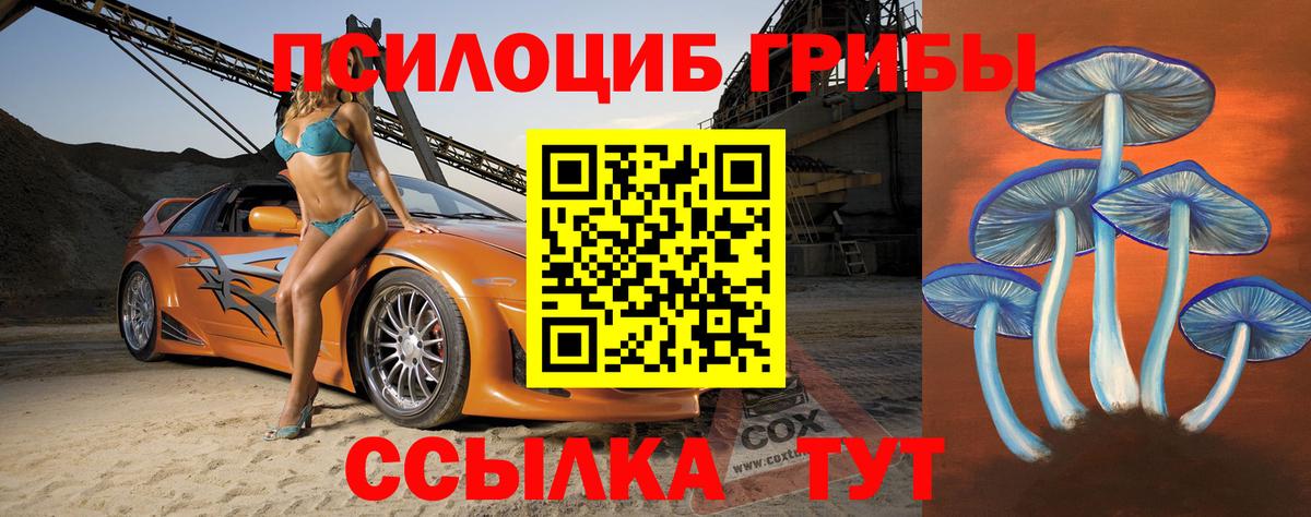 Галлюциногенные грибы прущие грибы Юрга